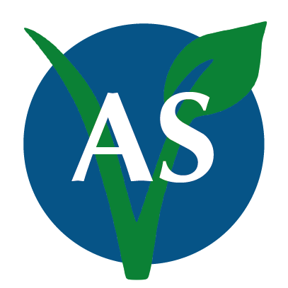 [AS] ALCACHOFA Y SHIITAKE 